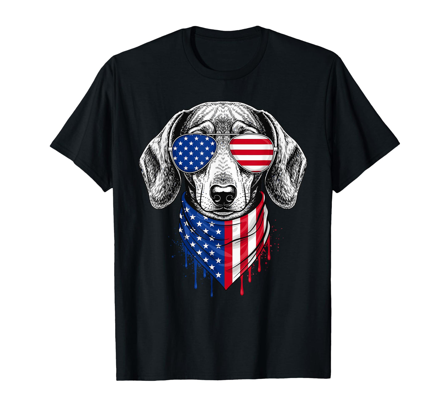 Dachshund Dog Patriotic 4th of July American USA Flag Men Women Kids T-Shirt