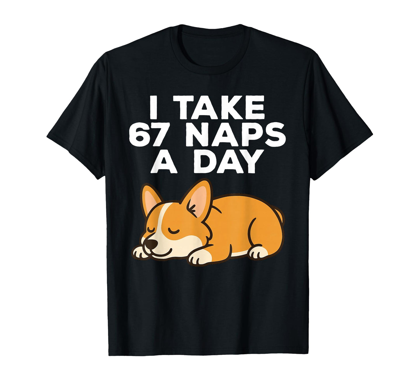 I Take 67 Naps A Day Funny Dog Corgi Six Seven Meme T-Shirt