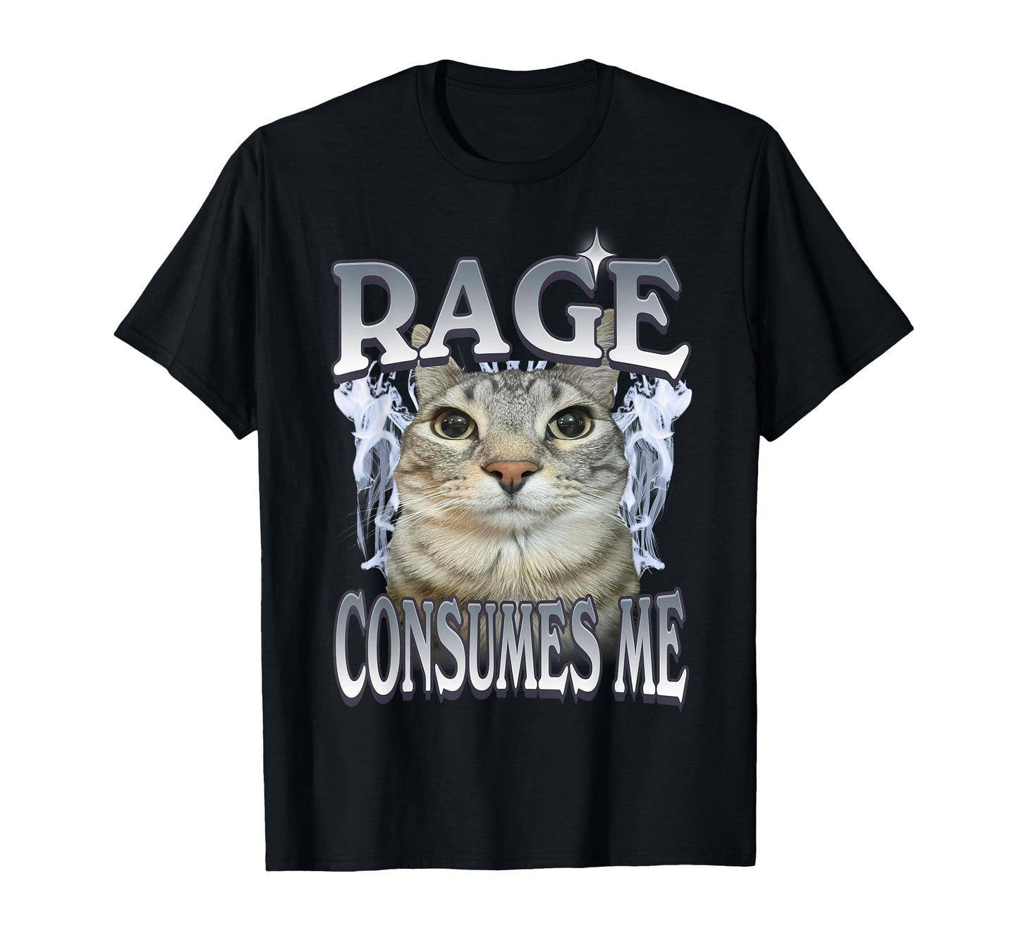 Rage Consumes Me Cat Meme Vintage Feline Funny Artwork T-Shirt