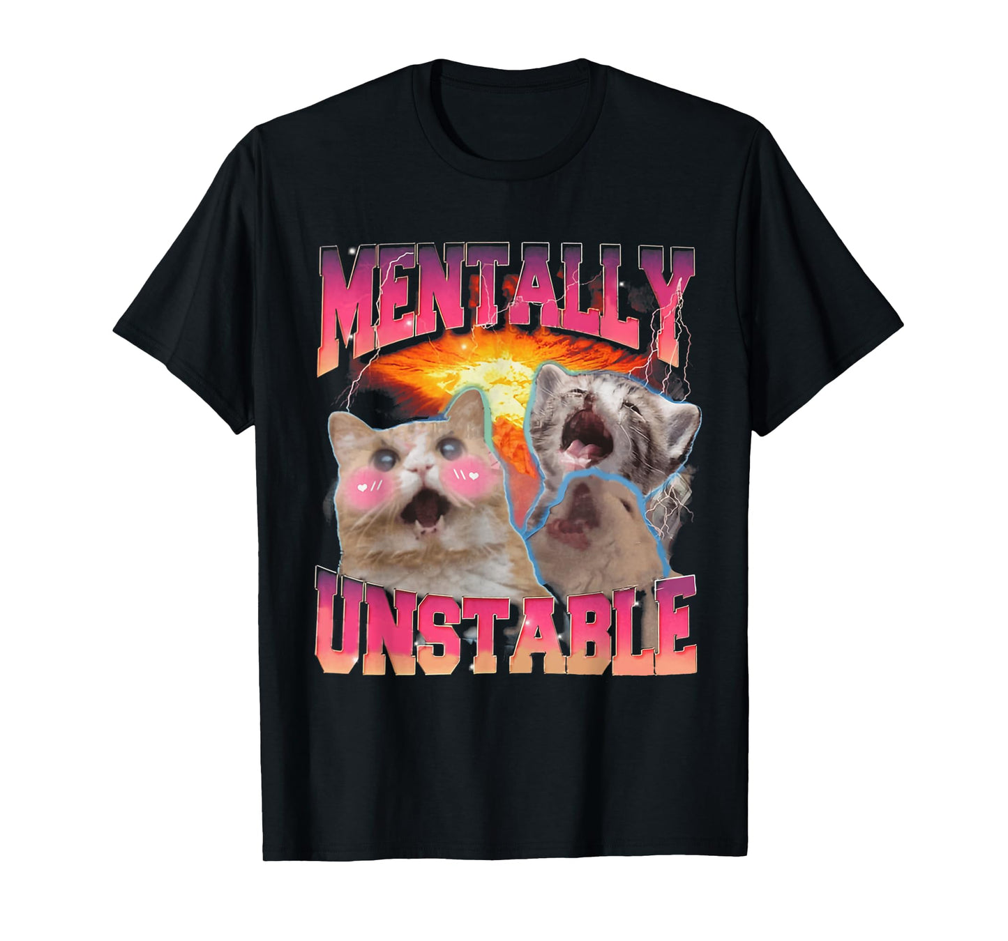 Mentally Unstable Cat Meme Shirt, Funny Cat Meme T-Shirt